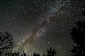 starscape taken in sequoia national park