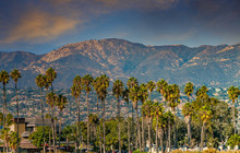 Palm Trees And Santa Ynez Mountains In Santa Barbara