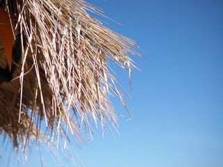 thatched roof on a background of blue sky