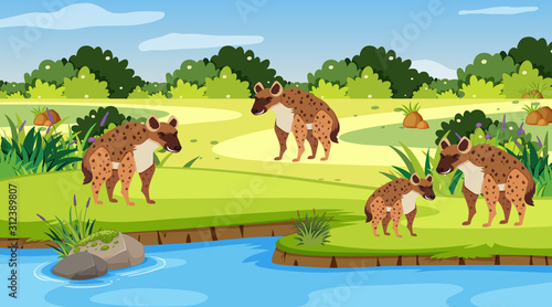 Background scene with hyenas by the river Wallpaper Mural
