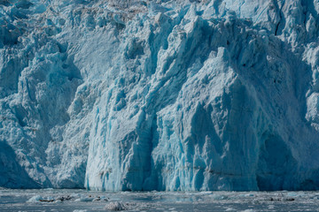 Wall Mural - Kenai fjords national park, Alaska.