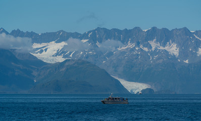 Wall Mural - Kenai fjords national park, Alaska.