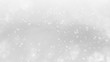© Koy - Christmas winter snowflake on white gray sky background.