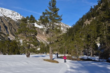 Vallée du Marcadau, Pont d'Espagne, Cauterets, Pyrénées, France