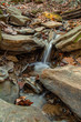 Falls leaves rocks and small waterfalls