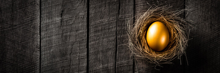 Banner Of Golden Nest Egg On Rustic Wooden Table Background - Investment Concept