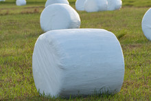 Close Up View Of Hay Bales Wrapped With Plastic
