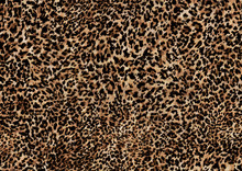 Abstract Leopard Print Texture Design