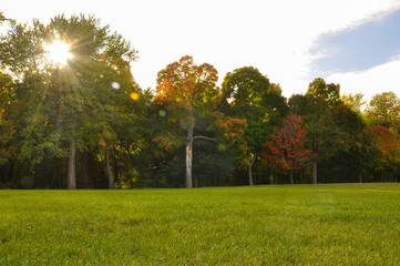 autumn in the park