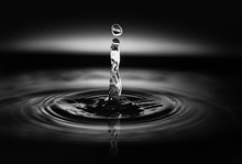 Water Drop Black And White Photography Fine Art With Ripples