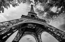 Eiffel Tower In Paris France With Golden Light Rays. Black And White Photography