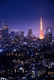 Fototapeta  - 東京の夜景