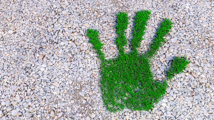 Concept or conceptual green grass handprint on gravel background. A metaphor for ecology, environment, recycle, nature conservation, spring, summe or protection against global warming 3d illustration