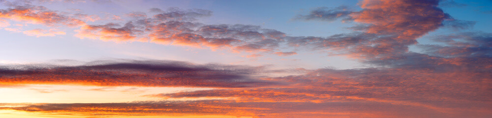 Wall Mural - beautifully lit clouds during sunrise
