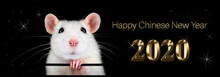 Happy New Year 2020. Chinese Year Of The Rat. White Rat With Black Background. Text In Gold Representing Metal, Riches, Fortune And Prosperity.