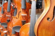 Close-up Of Violins On The Wall Of Musical Instrument Store.