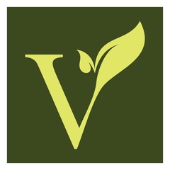 V letter with leaf logo  organic tree logo