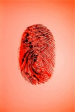 Bloody Fingerprint