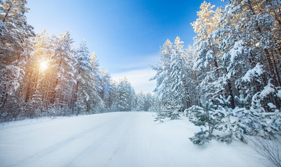 Aufkleber - Snow winter road in beautiful forest