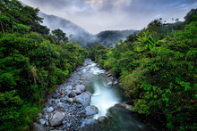 River With Big Stones And Trees, Tropic Mountain Forest During Rain, Colombia Landscape. Tropic Forest In South America.