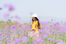 Traveler Or Tourism Asian Women Standing And Chill  In The Purple  Verbena Flower Field In Vacations Time.  People  Freedom And Relax In The Spring  Meadow.  Lifestyle Concept