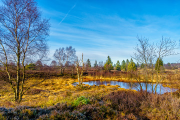 Canvas Print - Auf dem Weg zum Hochmoor