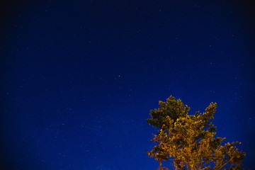 milky way stars on a dark night sky.