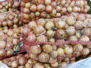 Wall Mural - Ripe onions in the grid