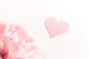 Three pink carnations isolated on white background with heart symbol of love