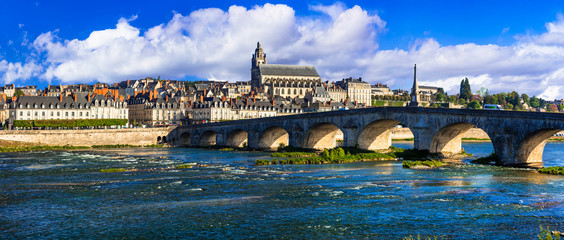 Canvas Print - Landmarks and travel in France. Loire valley,  medieval town Blois