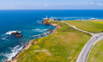 Wall Mural - Aerial view of Pigeon point lighthouse, California