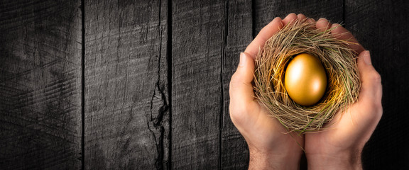 Protecting Hands Holding Golden Nest Egg On Wooden Table - Investment Protection Concept