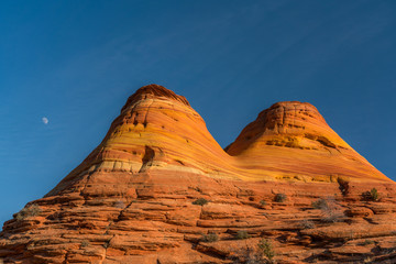 Wall Mural - Amazing view of the coyote buttes, Utah