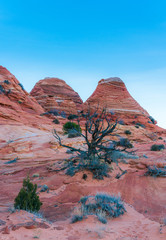 Wall Mural - Amazing view of the coyote buttes, Utah