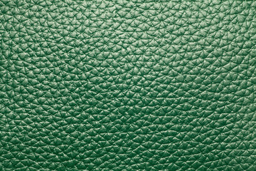 Wall Mural - Green leather texture background. Close-up.