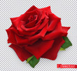 Red Rose. 3d realistic vector object