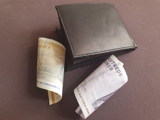 economy and finance with Danish money