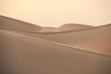 Wall Mural - Abstract view of sand dunes in the desert at sunrise. Liwa desert, Empty Quarter, United Arab Emirates.