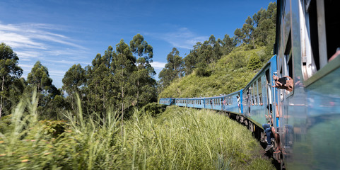 Wall Mural - Famous blue train journey in Ella, Sri lanka