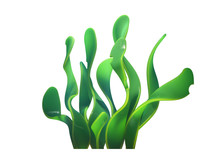 Underwater Cartoon Spirulina Seaweed. Wide Green Leaves Marine Plants. Concept Art Of Aquatic Plant Algae. Underwater World Of Sea, Ocean. Vegetarian Food. 3d Illustration Isolated On White Background