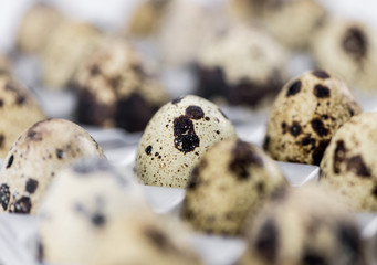 Canvas Print - Some fresh Quail Eggs on wooden background (selective focus; close-up shot)