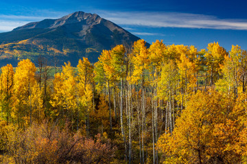 Poster - West Elk Golds