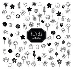 Wall Mural -  Linear nature icons flat flowers vintage. Light modern simple monochrome graphic element. Clean design for fabric, wallpaper, background. 