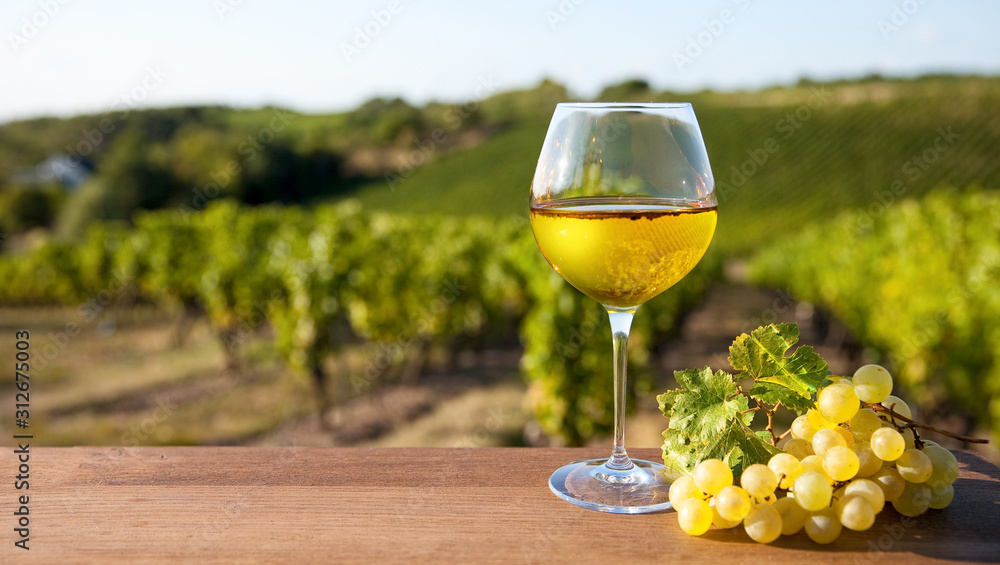 Verre de vin blanc et vignoble en France. - obrazy, fototapety, plakaty 