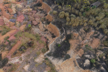 Wall Mural - Mound sand dunes covered with bushes top view