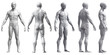 Human body anatomy of a man in five views isolated in white background - 3d render