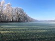 Winterliche Landschaft mit von Raureif überzogenen Bäumen und Wiesen bei Frost und blauem Himmel