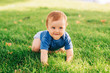 © annanahabed - Adorable red haired baby boy crawling on fresh green grass in summer park