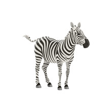 Zebra Wild Animal Vector Isolated Icon. African Safari Zoo And Savanna Hunt Trophy Zebra