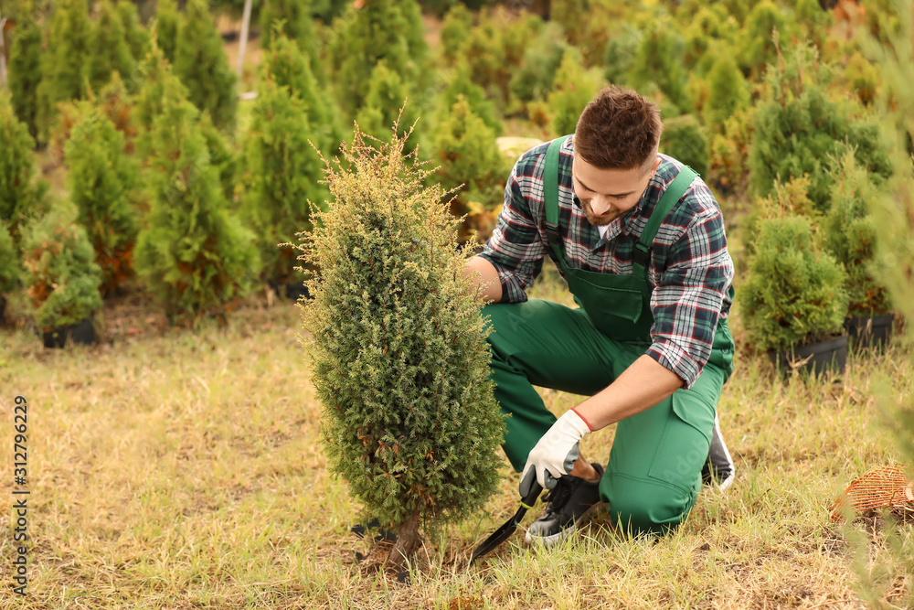 Handsome male gardener working outdoors
